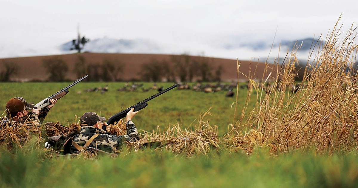Hunters taking aim. Photo by Mike Callian