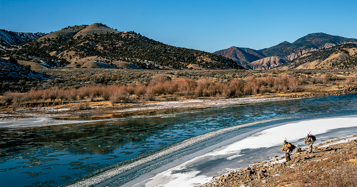 Image for Cold Colorado