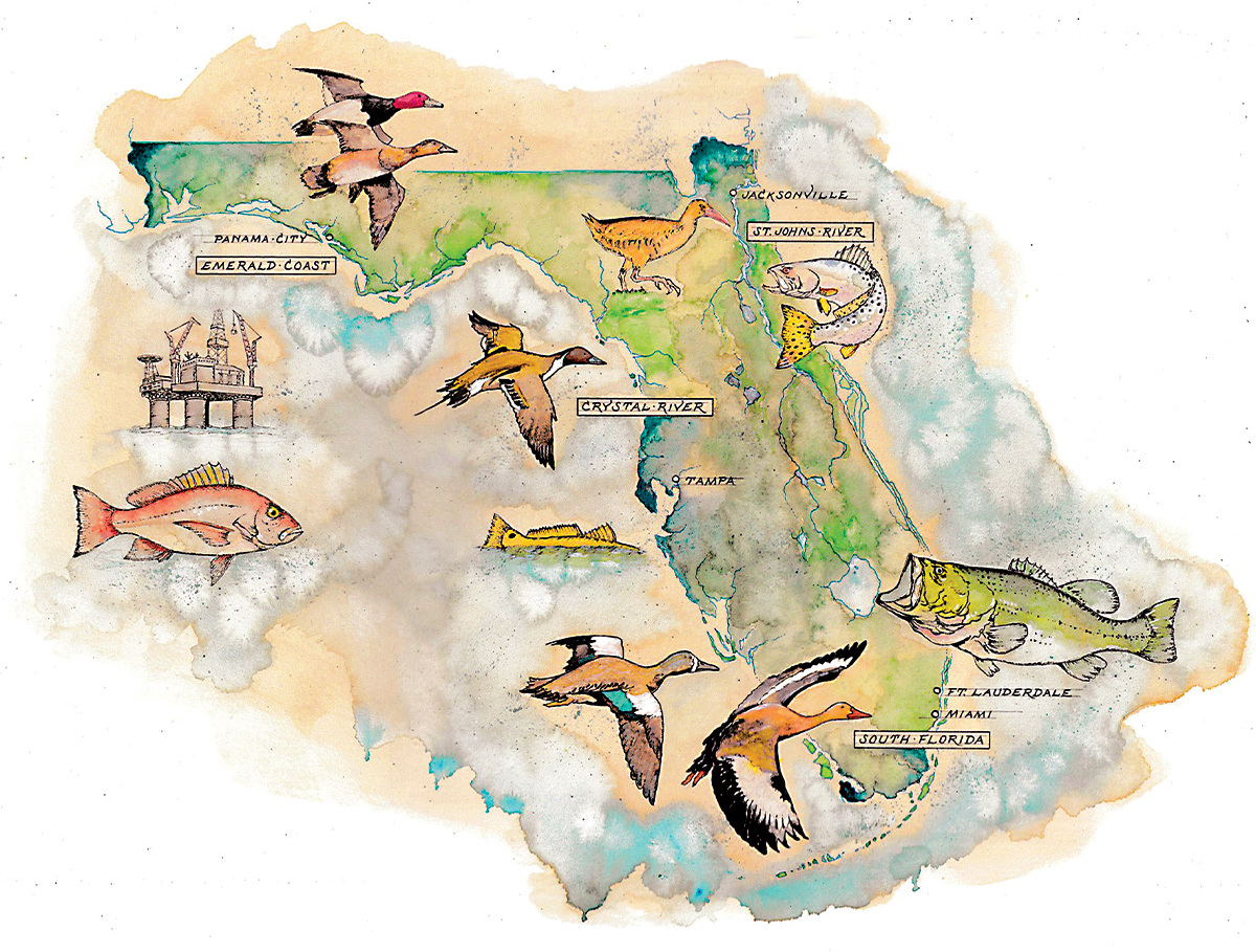 Illustration of Florida. By MReaganStudio.com