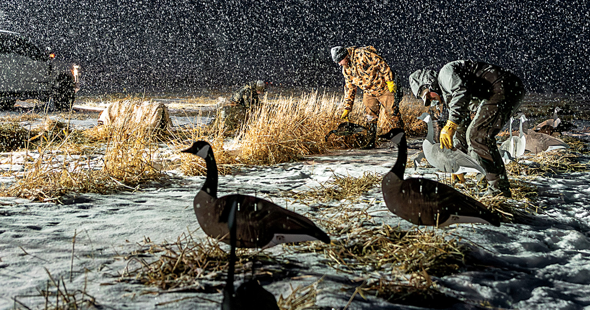Great Late-Season Goose Destinations