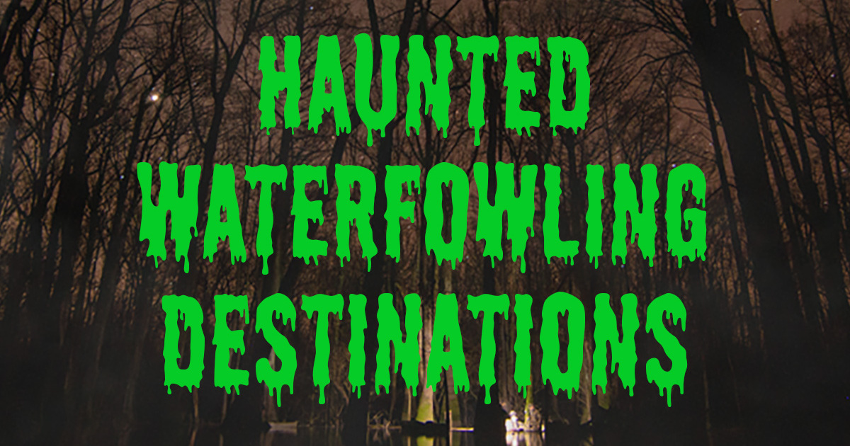 Image for Haunted Waterfowling Destinations