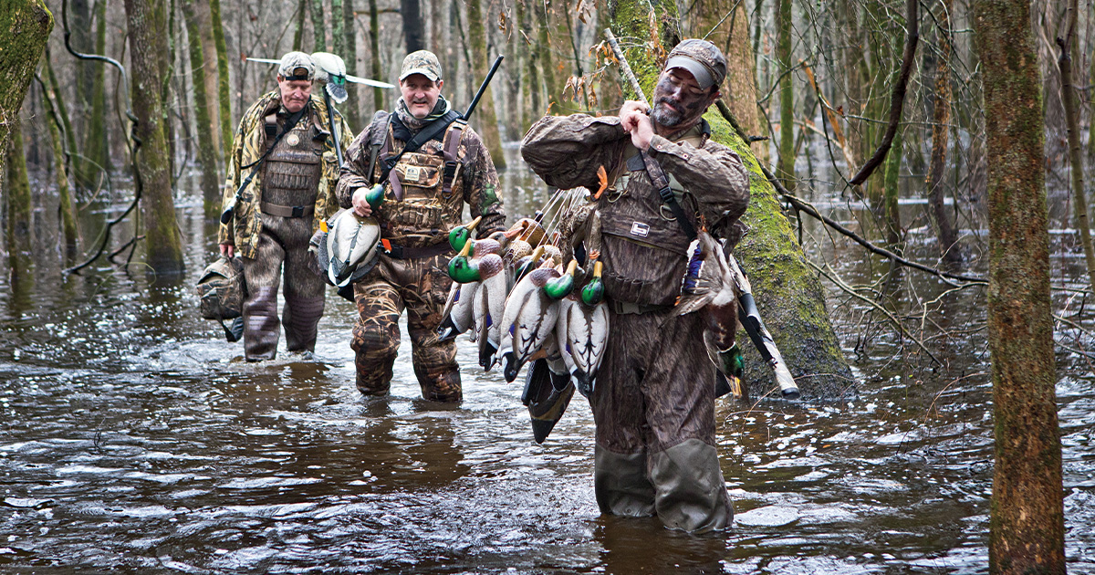 Hunters walking through flooded timber with decoys. Photo by ToddSteelePhotoArt.com