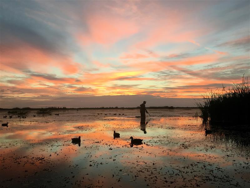 Broarmoor Marsh Sunrise. Photo courtesy of Florida Fish and Wildlife Conservation Commission