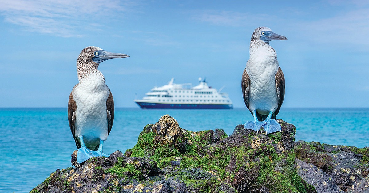 Photo courtesy of National Geographic-Lindblad Expeditions