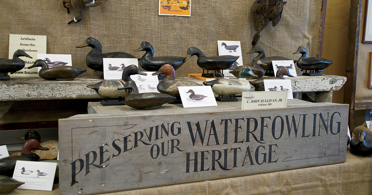 Auction display at the Waterfowl Festival. Photo by Todd Sacks