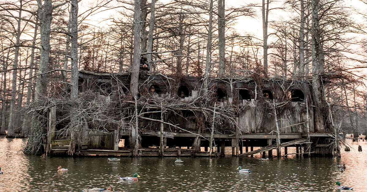 Image for Waterfowler's Journal: Bo Whoop Comes Home