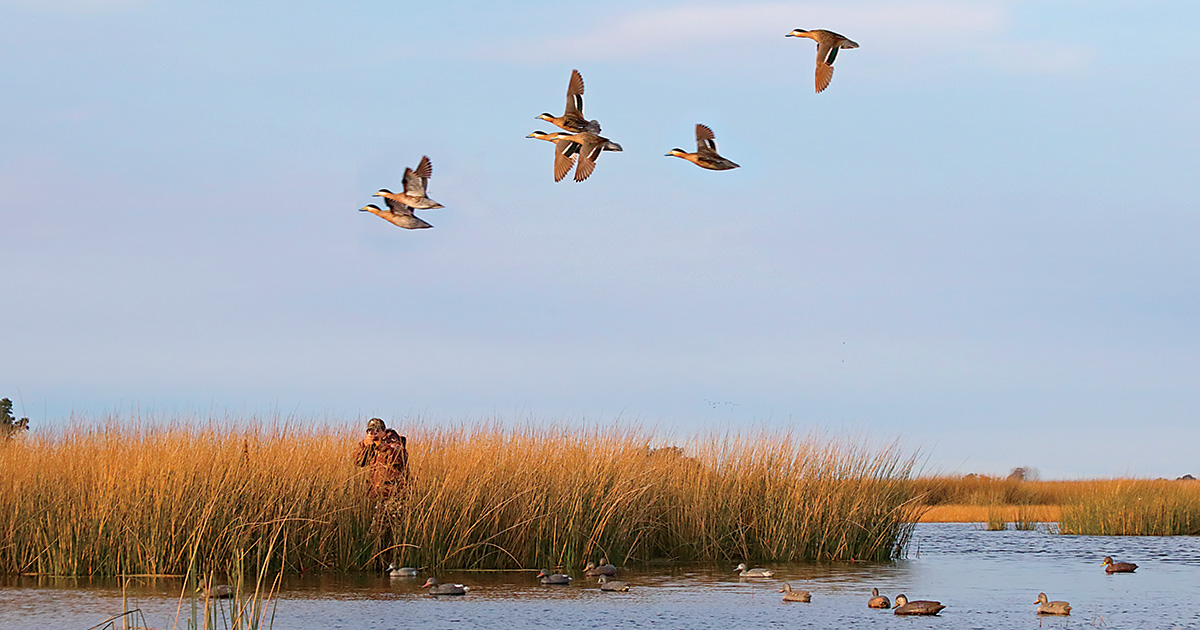 Image for Waterfowler's Journal: Hunt of a Lifetime