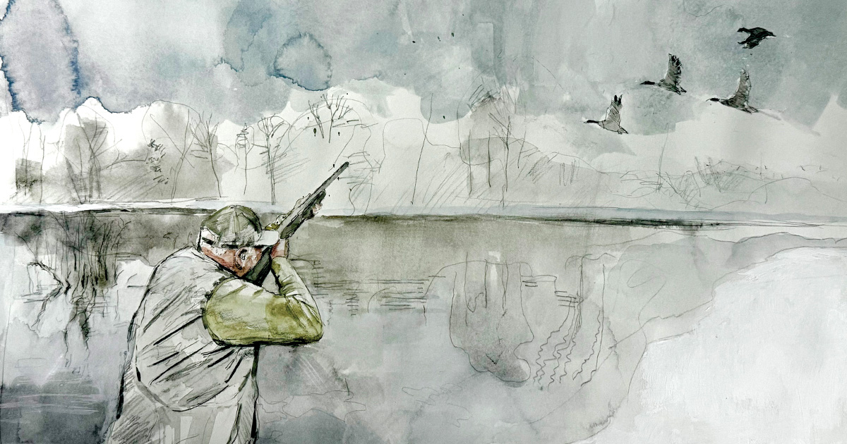 Image for Just One Mallard