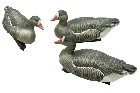 Dive Bomb F1 Specklebelly Floaters.png