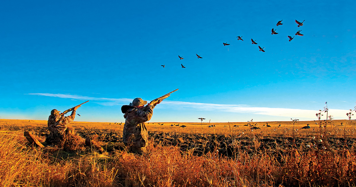 Goose hunt. Photo by GaryKarmer.net