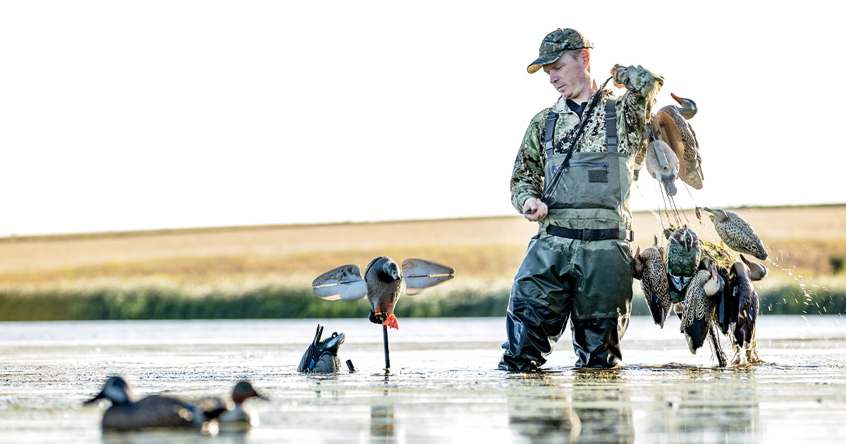 Waterfowl hunter gathering decoys. Photo by Tom Martineau/WildFromtImages.com