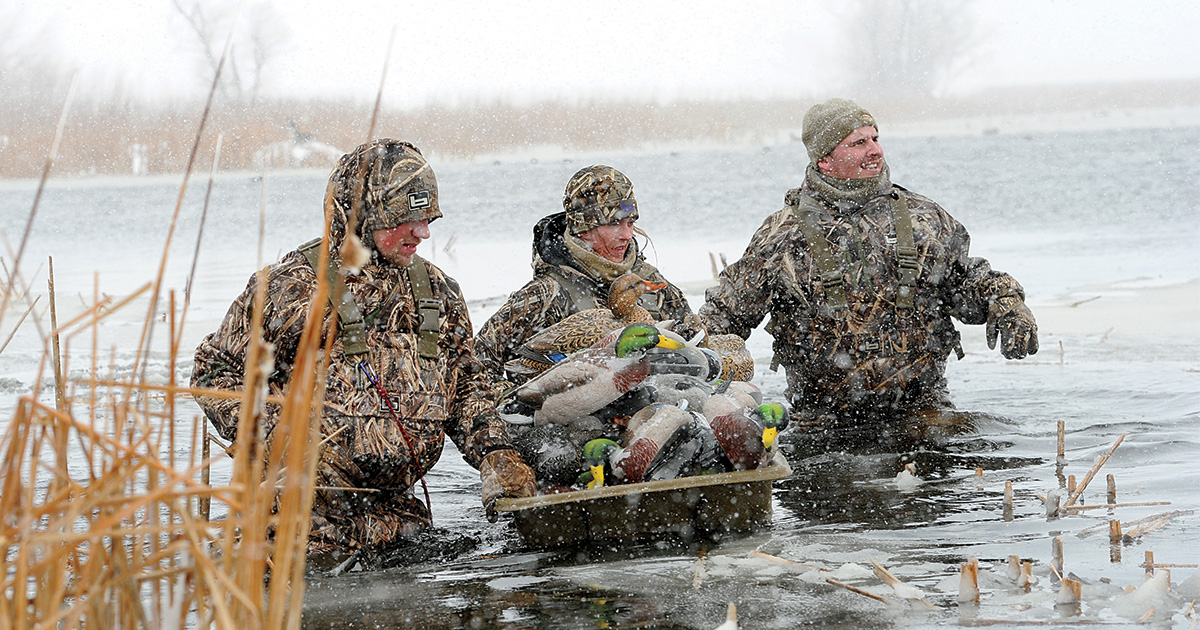 Hunting the Freeze Line