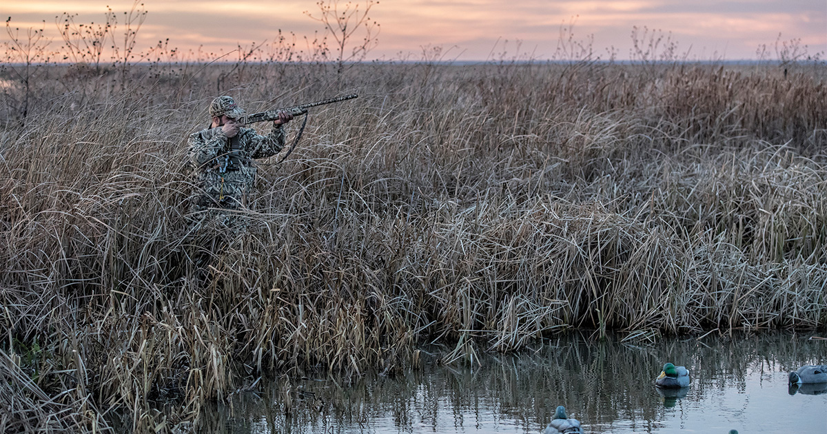 Tips For Staying Concealed