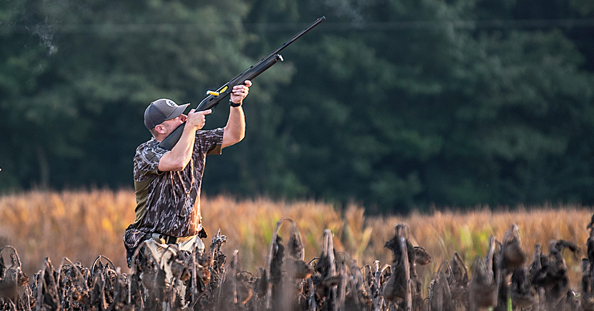Dove hunting. Photo by @thesethdortch