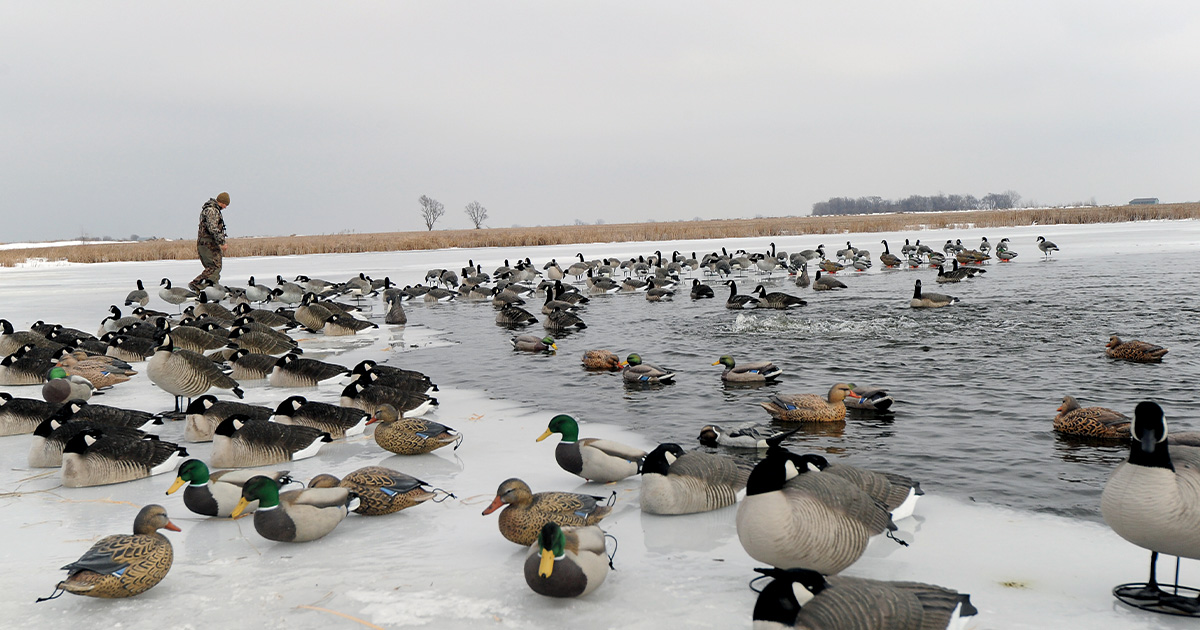 Image for Waterfowler's Journal: Fighting Ice