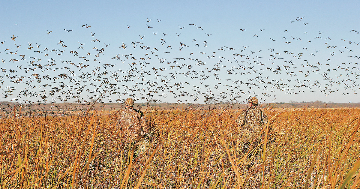 Waterfowl hunters scouting field. Photo by Craig Bihrle.jpg