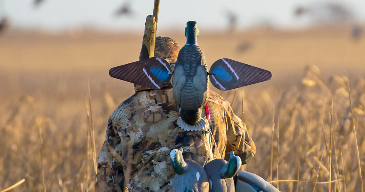 Waterfowl Scouting 101