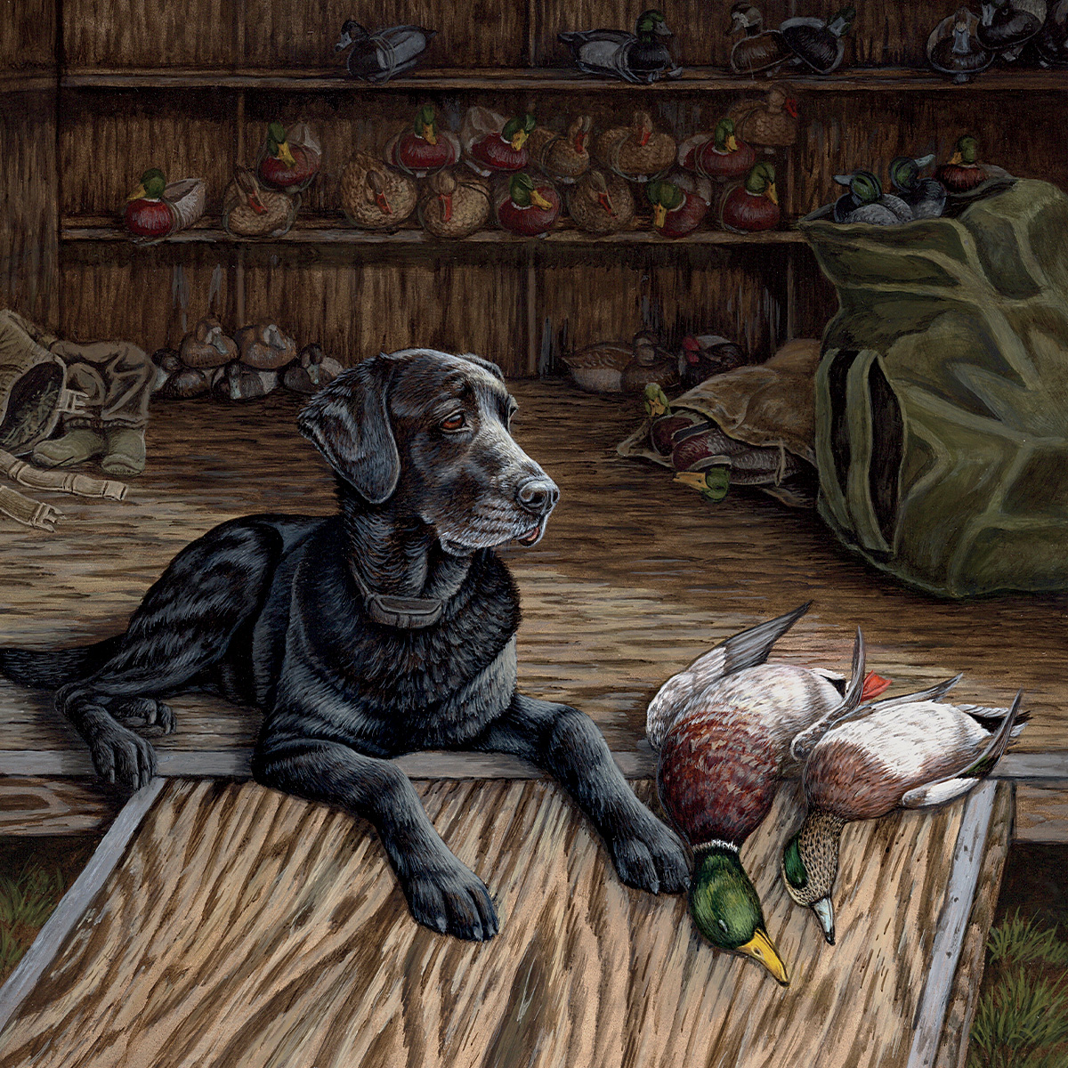 Illustration of the author's Labrador retriever, Mabel. by Christopher Smith