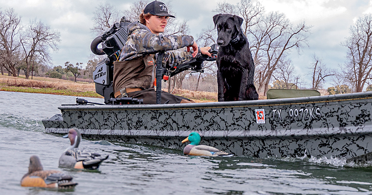 Labrador retriever during a hunting/training session. Photo by Todd J. and. Nancy Steele