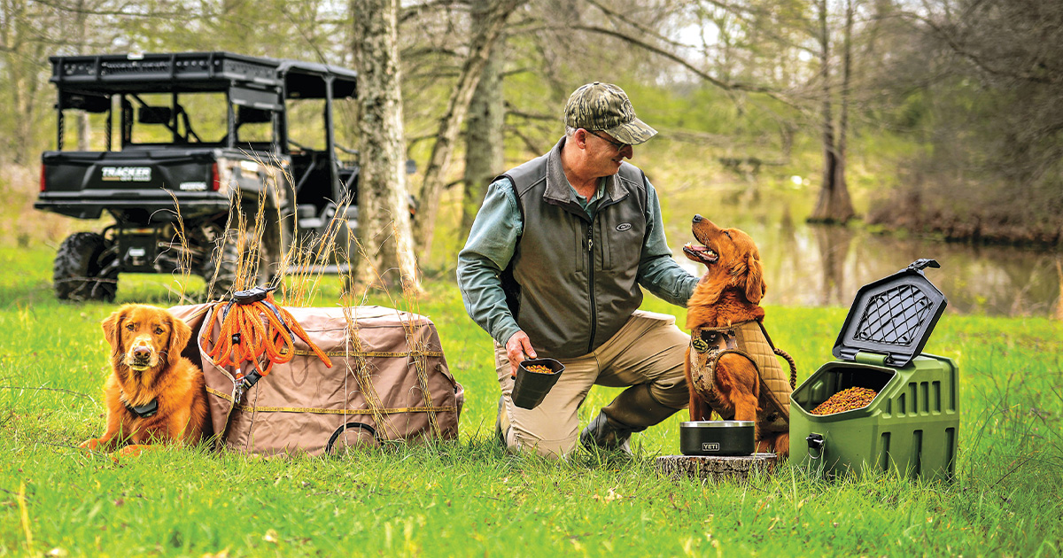 Gearing Up: Dog Goods for Good Dogs