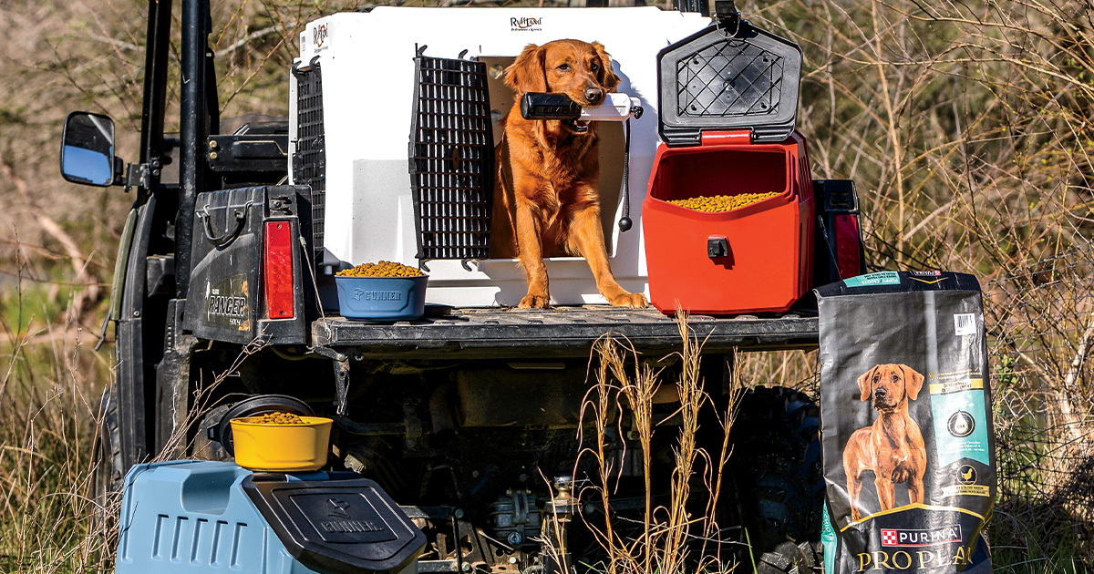 Gearing Up: High-Performance Retriever Gear