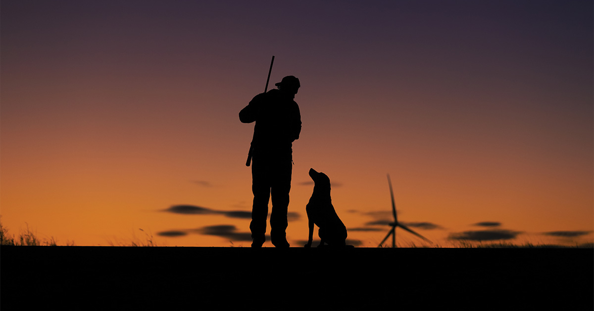 Hunter and retriever at sunset. Photo courtesy of Southern Oak Kennels by Aaron Davis