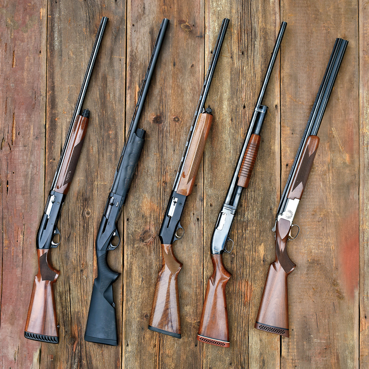 Shotguns. Photo by Mark Tade