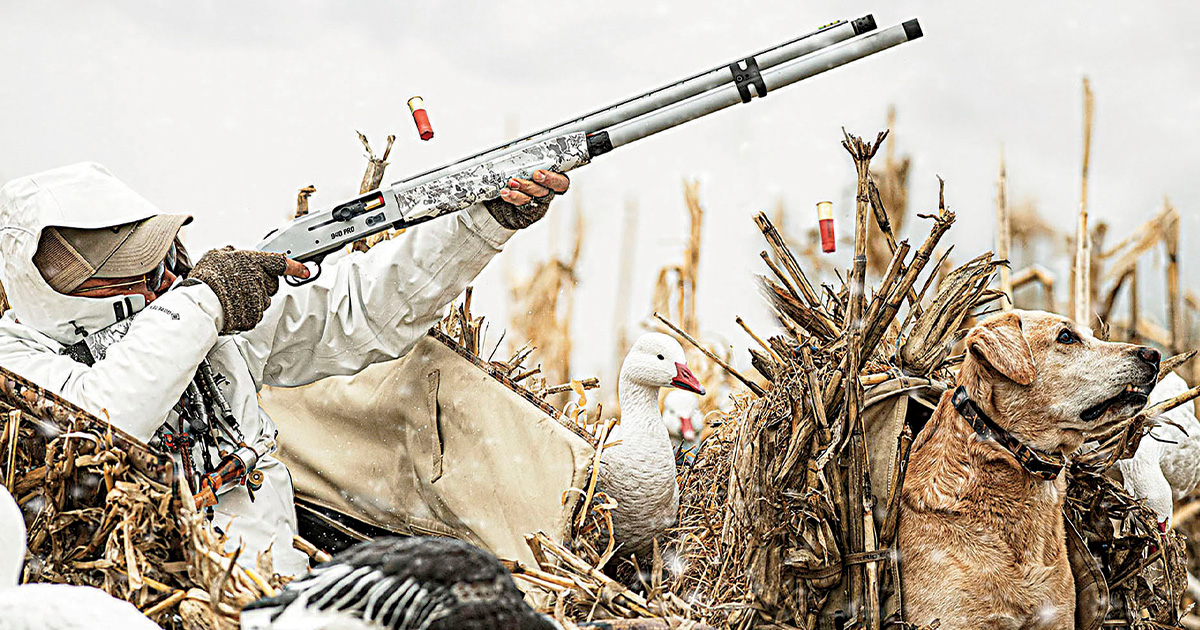 Shotgunning: Snow Goose Guns