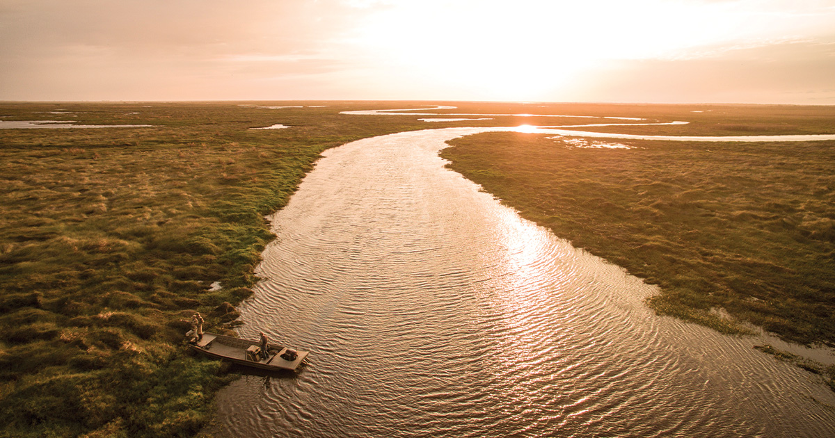 Furtman Boreal green wing teal