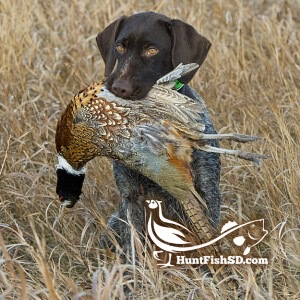 Aberdeen Area Convention & Visitors Bureau