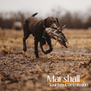 Marshall Tourism Commission