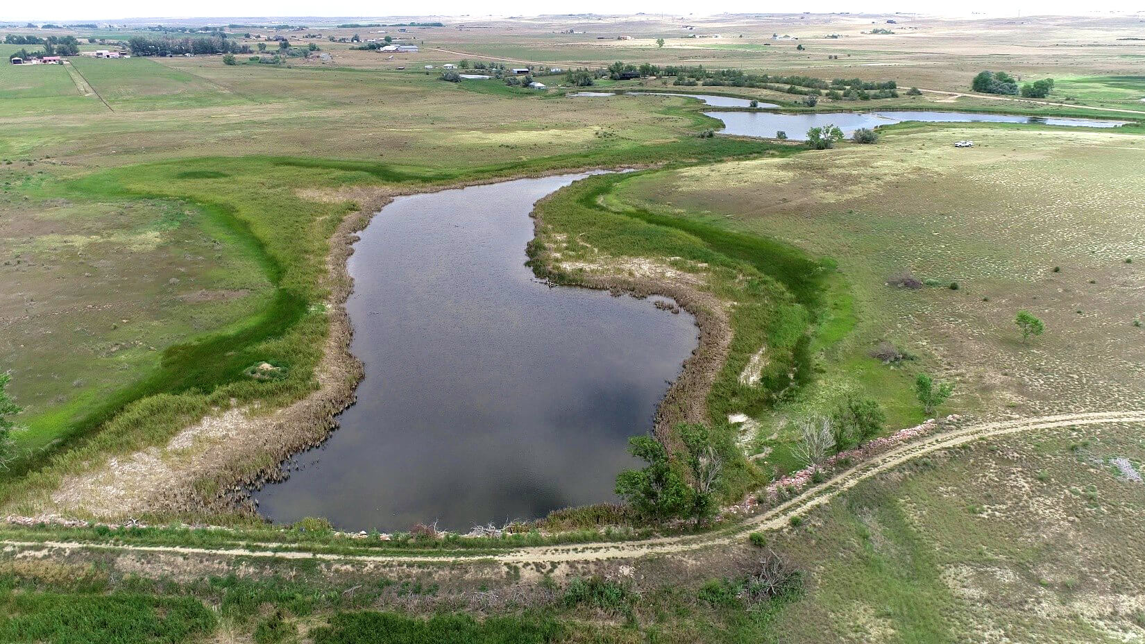 Ducks Unlimited Receives RESTORE Colorado Grant for 700 Acres of Northern Colorado Public Land