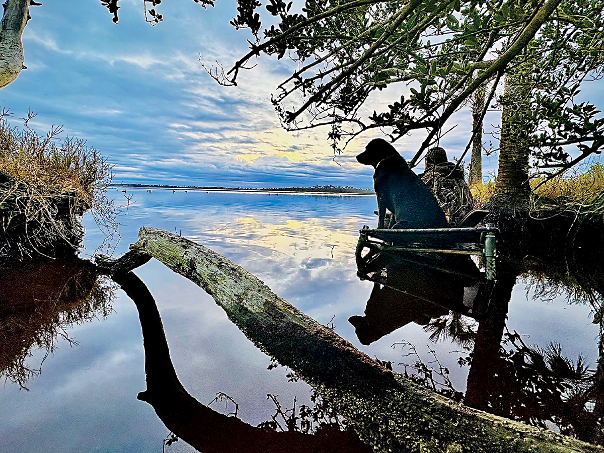 Hunter and retriever during a hunt. By Juli Brown