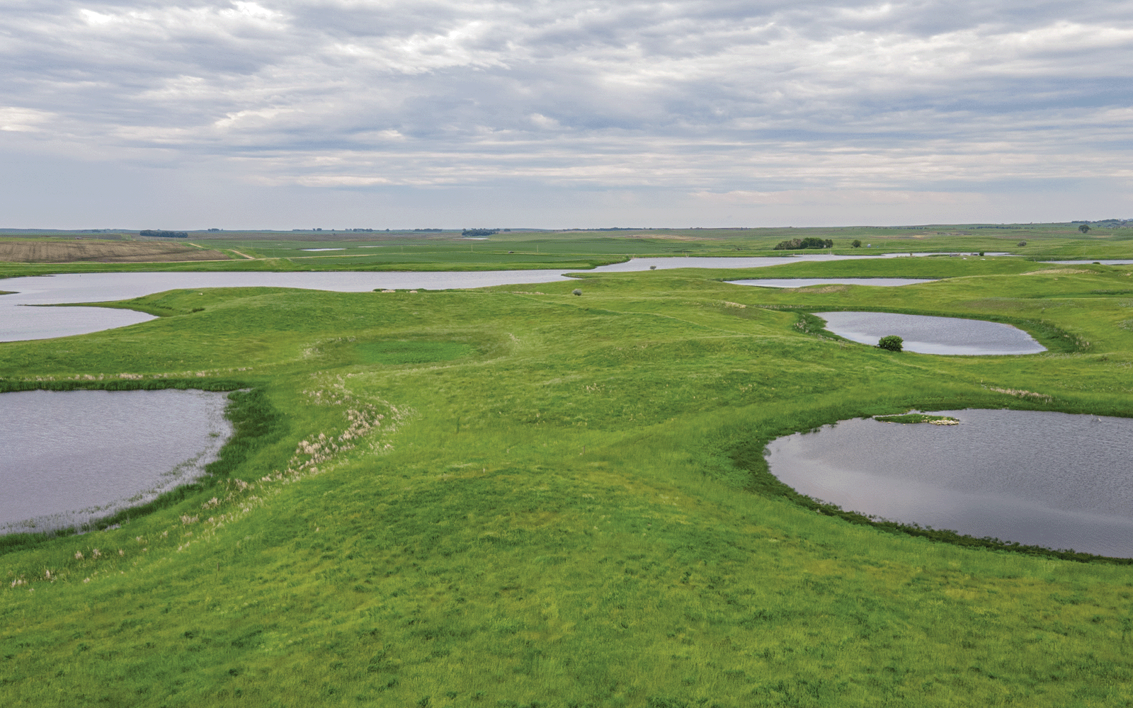 native prairie pothole