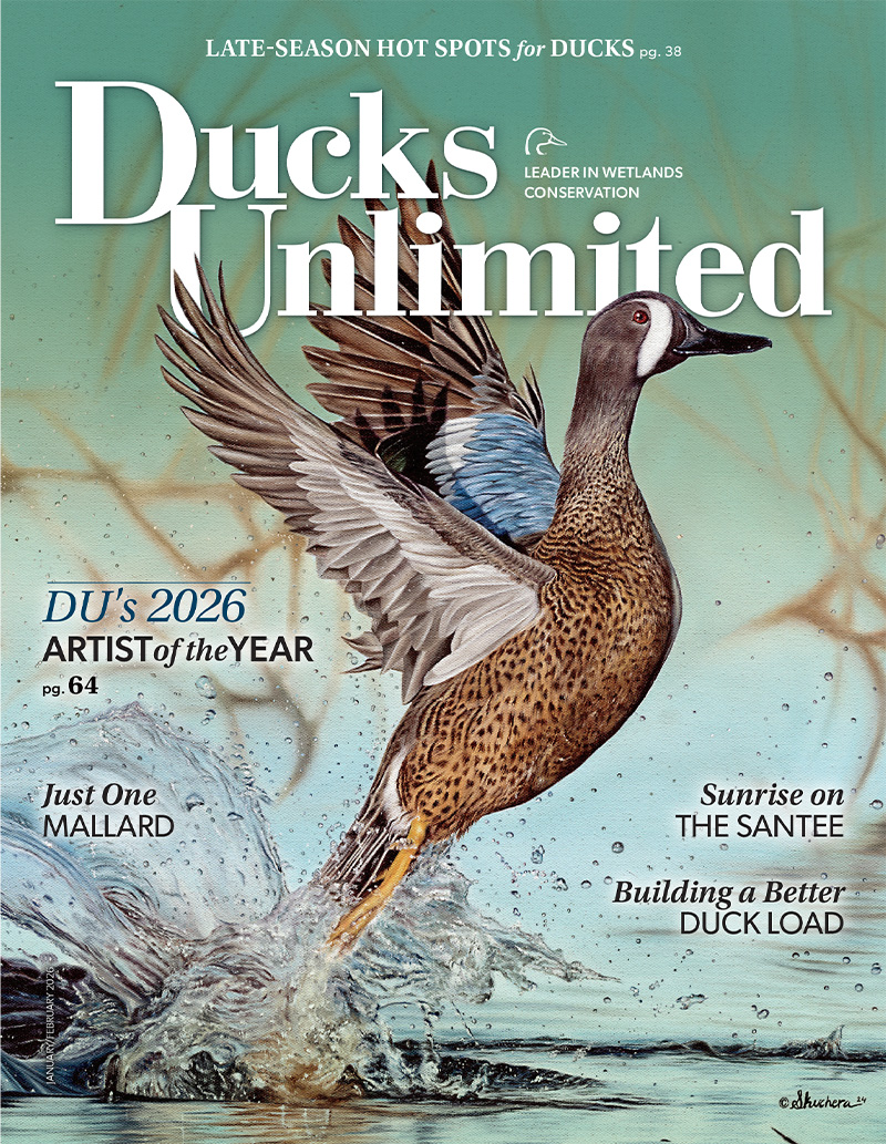 January / February 2026