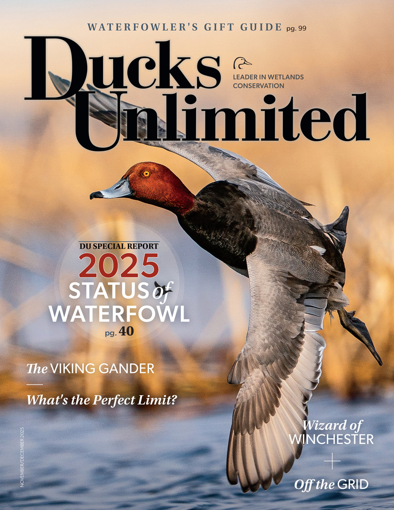 November/December 2025