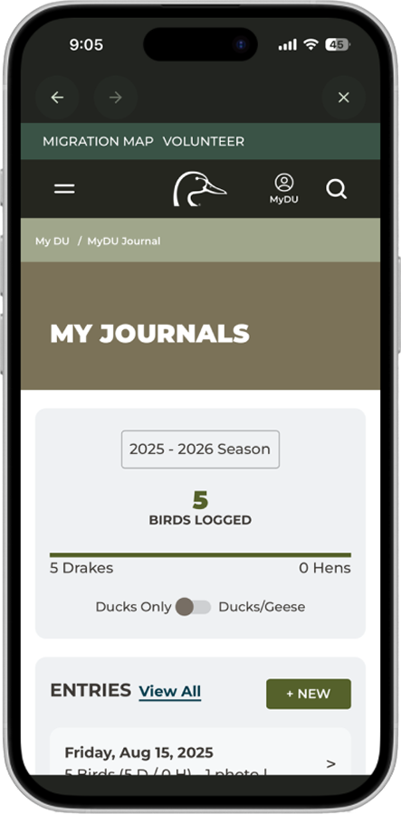 journals_screen.png