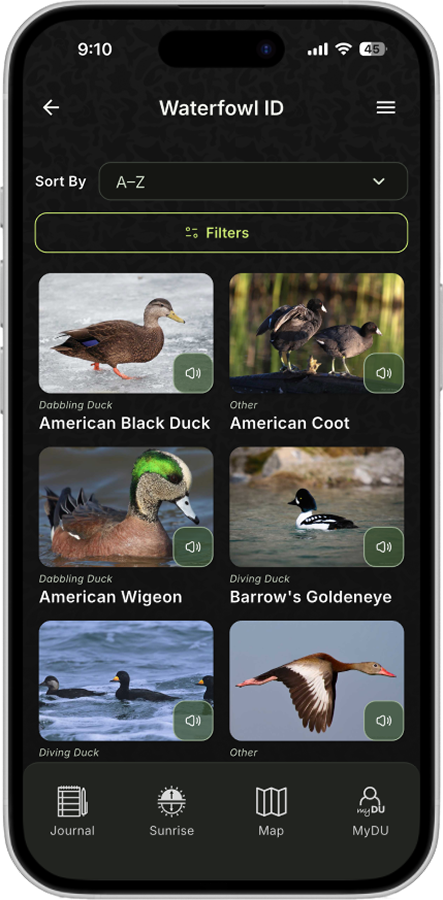 waterfowl_id_screen.png