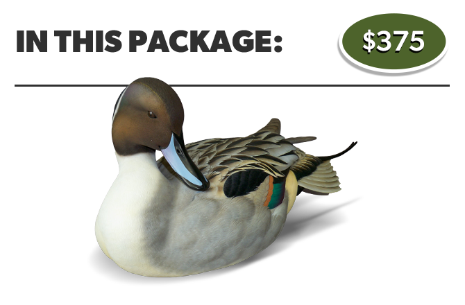 The Collector's Edition Pack