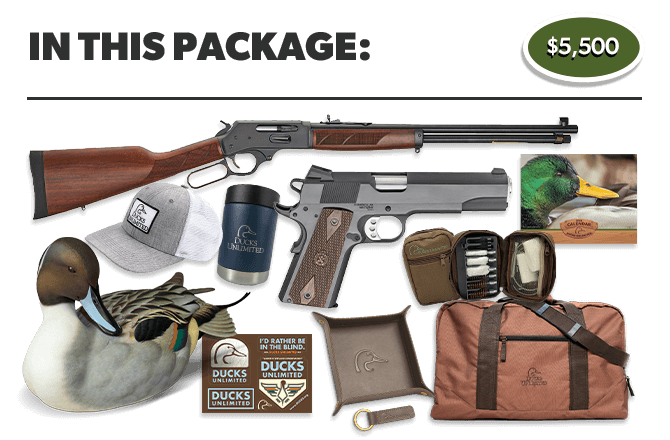 The Ultimate Firearm Collection